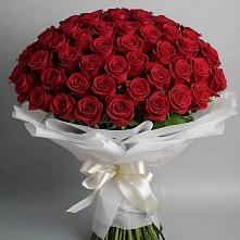 Букет 101 Красная роза Блэк Мэджик в Починках