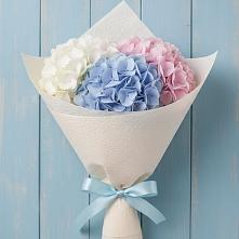 Букет цветов из:  Гортензия в Починках
