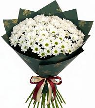 Букет цветов из:  Хризантемы в Починках