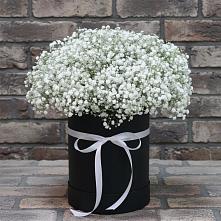 Цветочная композиция из Гипсофила в шляпной коробке в Починках