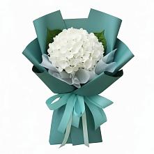 Букет цветов из:  Гортензия в Починках